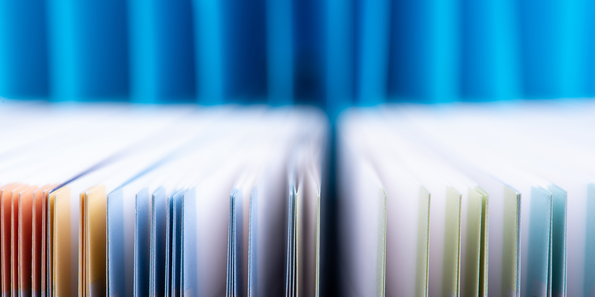 Member Newsletter – Archive